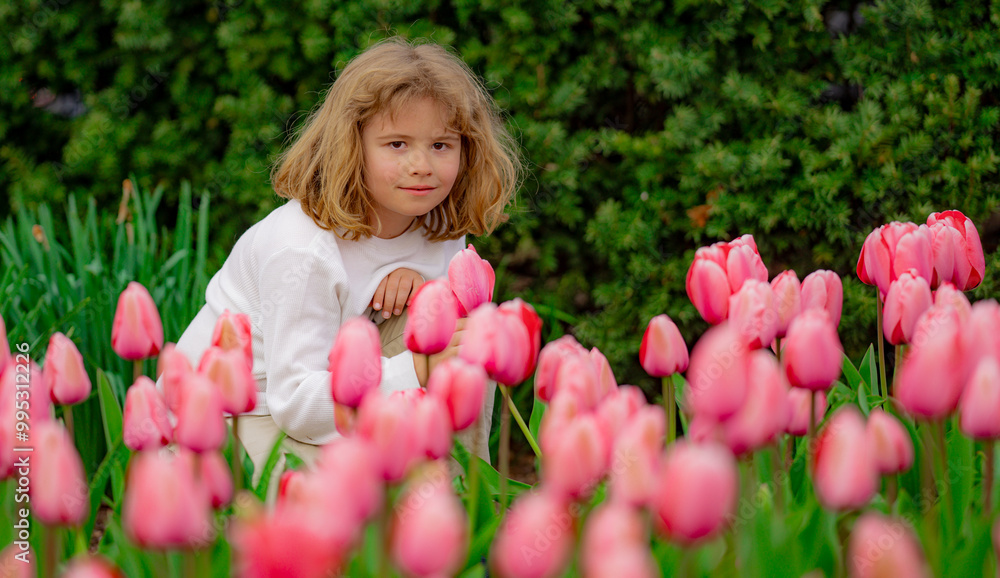 A child hold tulip on blossom Spring nature background. Spring flowers. Pink red tulips. A kid playing in Blossom spring park. Adorable little boy looking at beautiful red tulips.