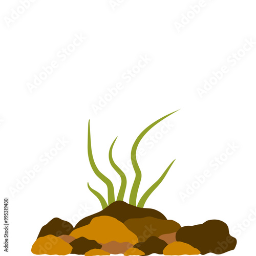 aquarium seaweed vector