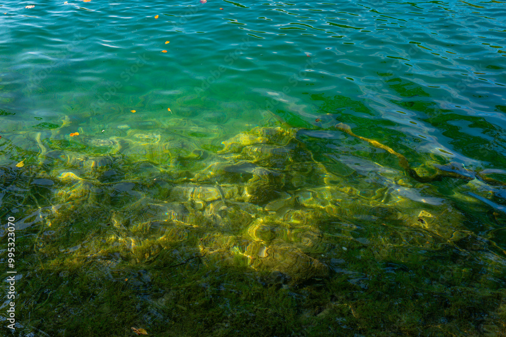 Fototapeta premium Beautiful peaceful landscape with forest lake. The tranquil transparent waters of lake in the background. Beautiful nature lake. Landscape Reflection off of a clear lake water surface.
