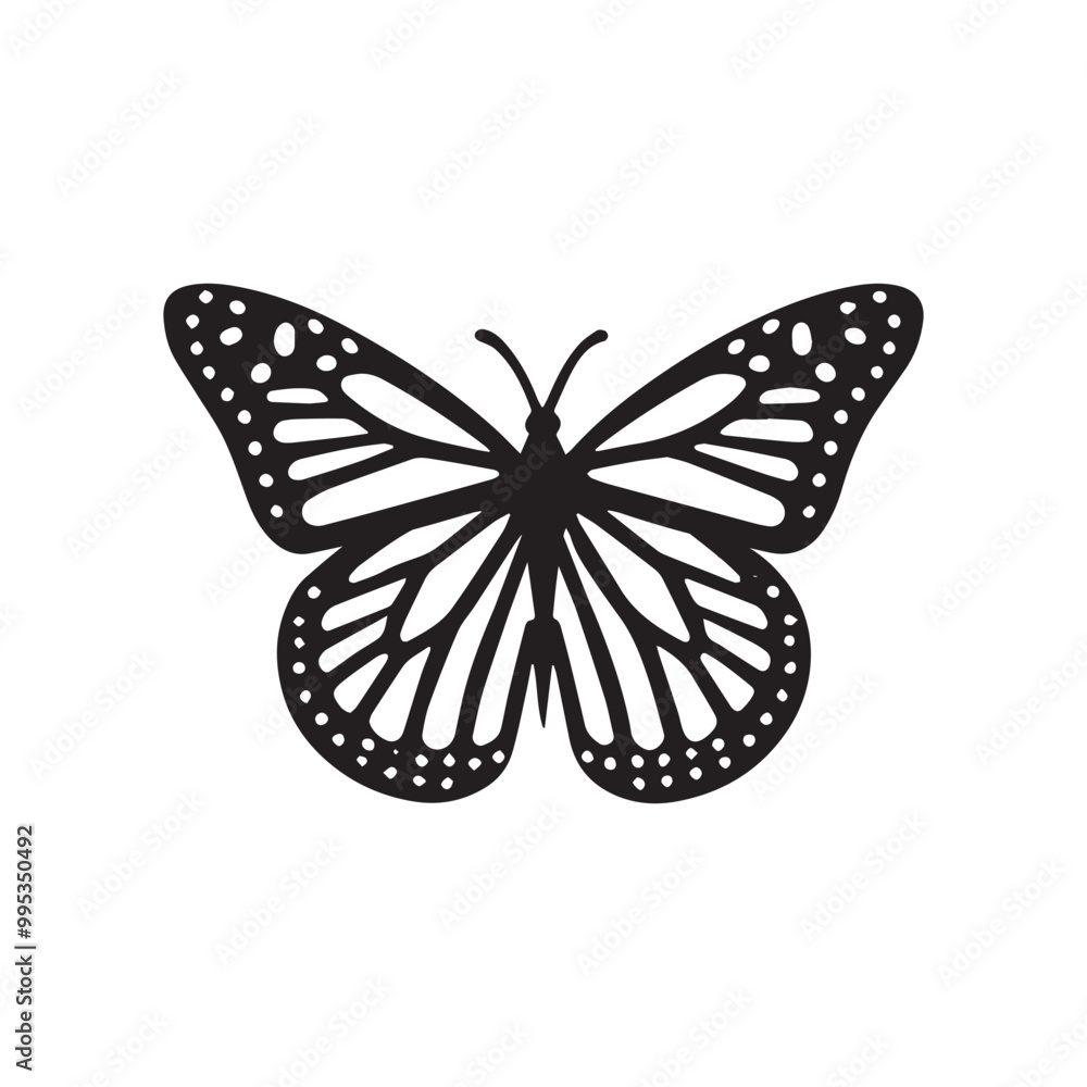 Butterfly Outline Design, Butterfly Vector Illustration in black and white Butterfly Outline Design, Butterfly Vector Illustration in black and white
