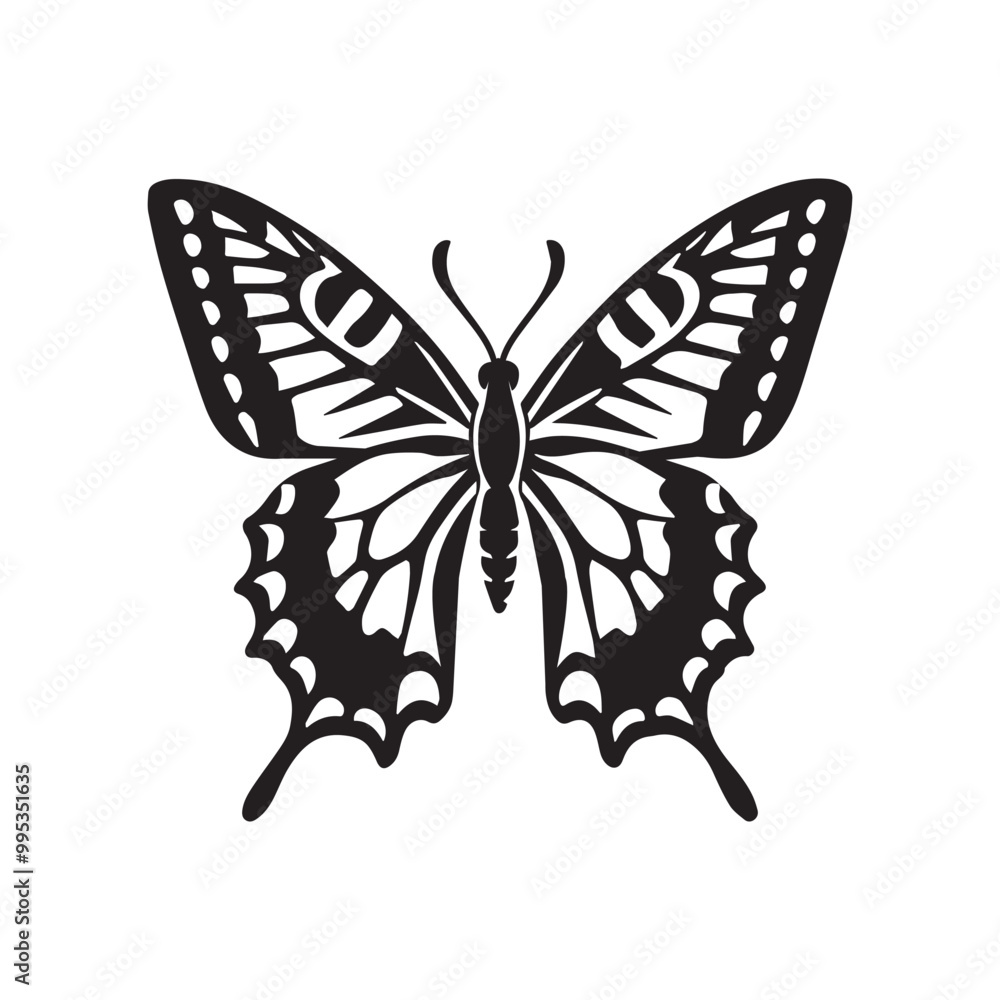 Butterfly Outline Design, Butterfly Vector Illustration in black and white Butterfly Outline Design, Butterfly Vector Illustration in black and white