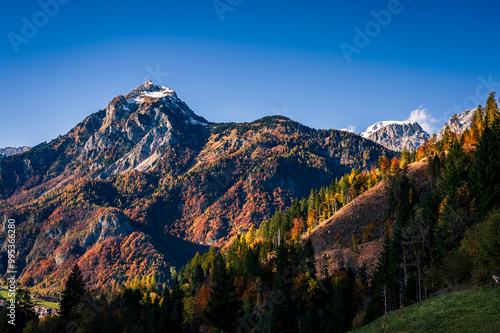 Autumn colors in Val Degano. Forni Avoltri and its woods. photo