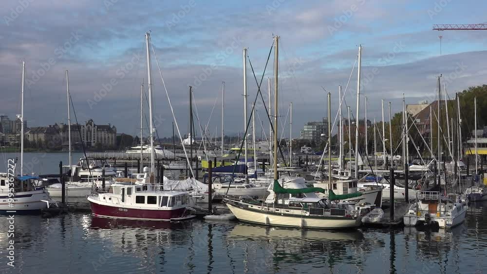 Sailboats docked at sunset, Victoria Harbor, British Columbia Sailboats docked at sunset, Victoria Harbor, British Columbia