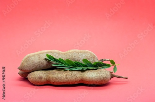 Closeup of Ripe Tamarind or Imli with Green Leaves Isolated on Red Background with Copy Space