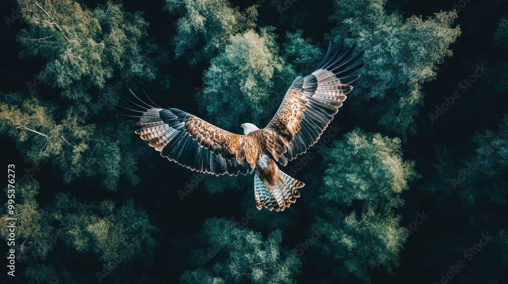 Naklejka premium Bird Soaring Through Trees with Wings Spread Wide and Sunlight