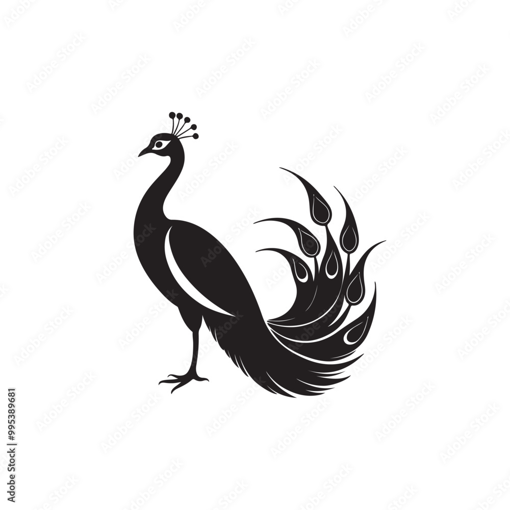 Fototapeta premium Silhouette peacock with asymmetrical plumage