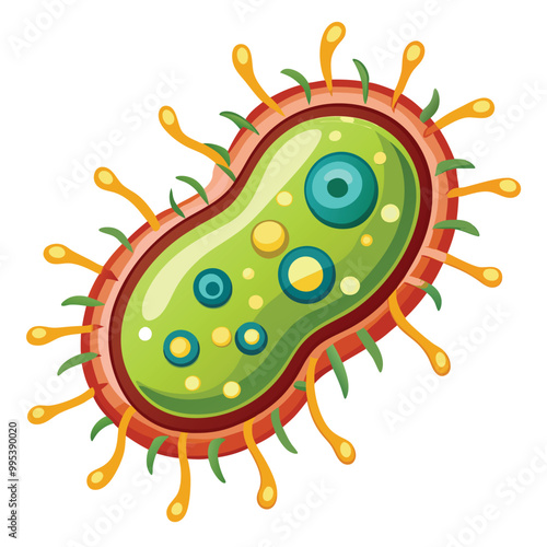 Bacteria vector illustration