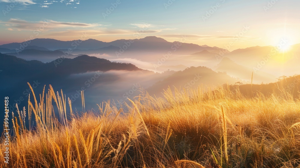 Fototapeta premium View of mountains with golden grass through fog at sunrise