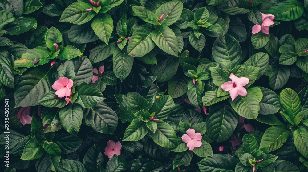 Green plants with pink blooms Green plants with pink blooms
