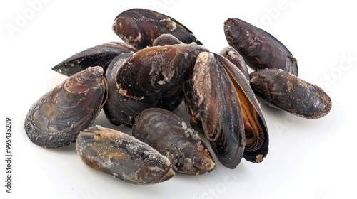 Frozen shelled mussels on a white background photo