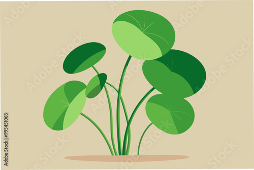 Nice water Pennywort plant vector art illustration photo