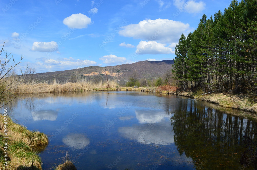 Obraz premium reflection in the lake