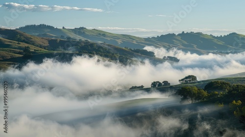 Morning fog obscures hills