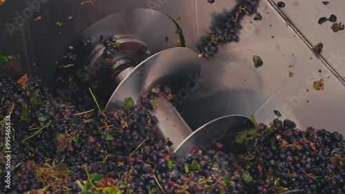 Grape Processing in Harvesting Machine