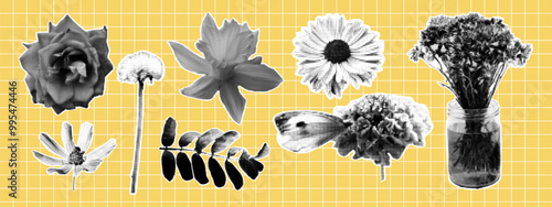 Trendy set of flowers with retro halftone effect. Dandelion, rose, chamomile, meadow flower, cornflower. Grunge punk collection.