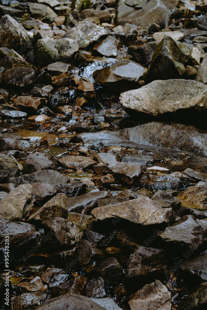 Flowing water trickles over smooth stones in a serene forest stream during a sunny afternoon Flowing water trickles over smooth stones in a serene forest stream during a sunny afternoon