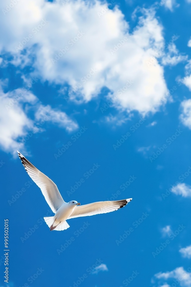 Fototapeta premium Lone Seagull Soaring in Vast Blue Sky