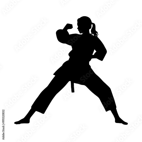 Silhouette of Karate Girl Kick Vector Art