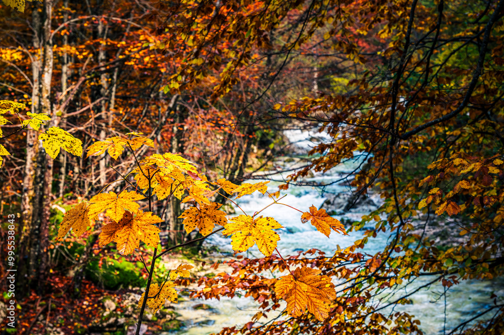 Autumn in Val Raccolana. Between peaks, lakes and streams. Julian Alps Autumn in Val Raccolana. Between peaks, lakes and streams. Julian Alps