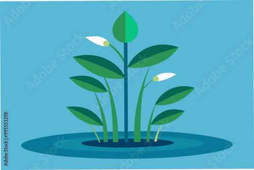 Nice water Soldier plant vector art illustration photo