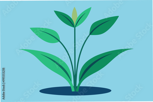 Nice water Soldier plant vector art illustration photo