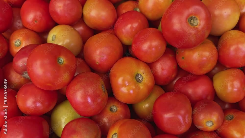 Flying over shot of Fresh tomatoes for sale at indian sabzi mandi market, vegetable market stall, fresh tomato harvest Flying over shot of Fresh tomatoes for sale at indian sabzi mandi market, vegetable market stall, fresh tomato harvest
