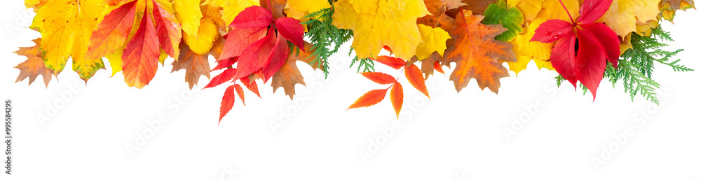 Natural fall leaves background Natural fall leaves background