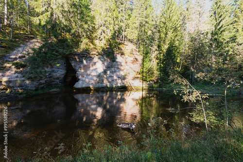 Nature of Estonia, landscape in Taevaskoja, husky dog ​​swimming in the river near the cave on a summer day.