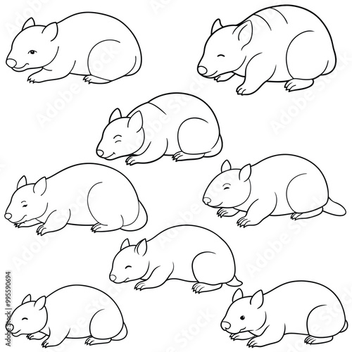 Wombat Lying Down Line Art Vector