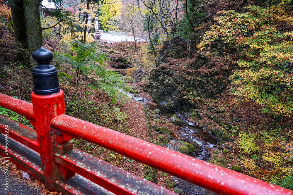 苔むした杉並木が続く榛名神社千本杉（群馬県高崎市）