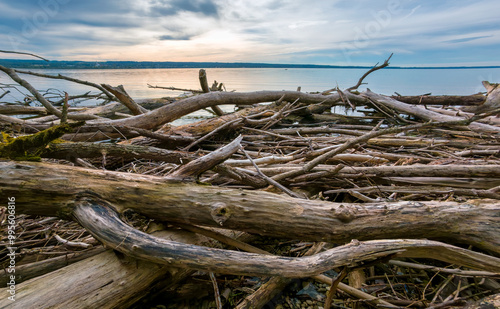 Treibholz nach einem Gewittersturm am Ammersee, Oberbayern, Bayern, Deutschland, Europa photo