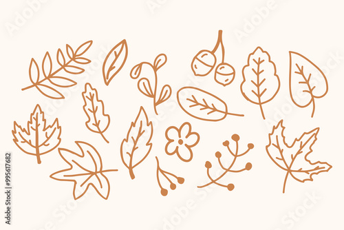 Autumn leaves