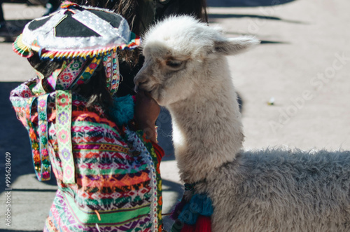 Little Girl in Traditional Peruvian Clothing with Adorable Baby Alpaca
