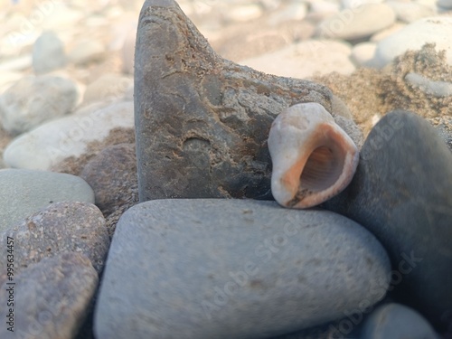 stone on the beach