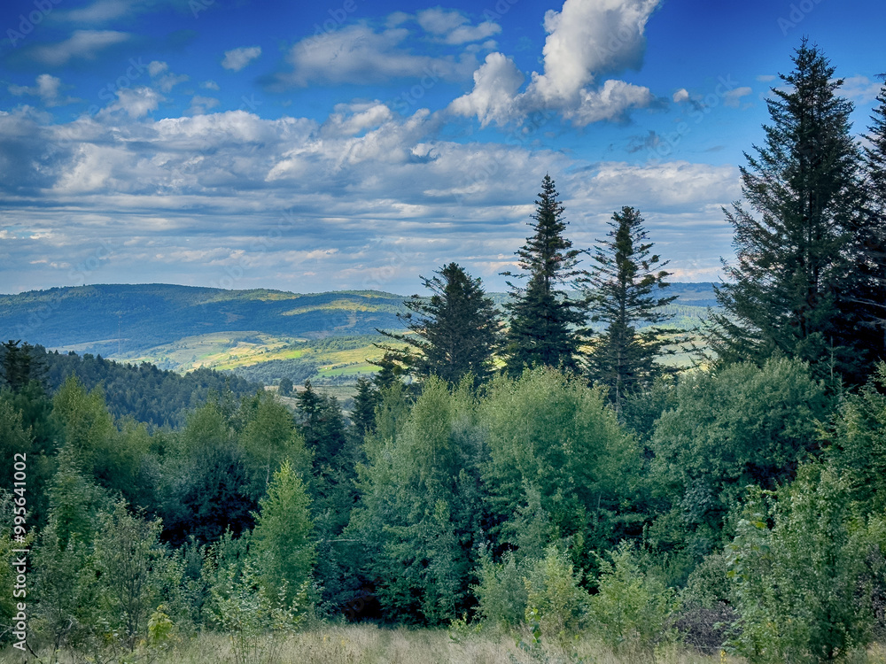 The landscape of Carpathian Mountains in the cloudy weather. Perfect weather condition in the summer season The landscape of Carpathian Mountains in the cloudy weather. Perfect weather condition in the summer season
