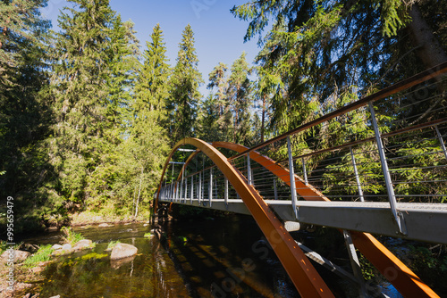 Nature of Estonia, pedestrian bridge over the Ahja river in the forest in Taevaskoja. Autumn sunny day. photo