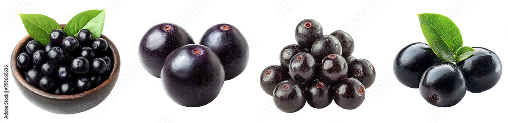 Fresh black fruits including berries plums and a bowl transparent background Fresh black fruits including berries plums and a bowl transparent background
