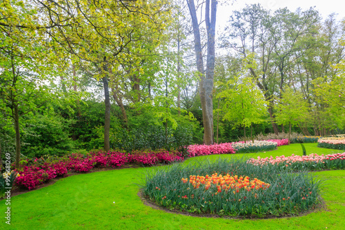 Scenic view of Keukenhof tulip garden in Lisse, Netherlands. Keukenhof is the most beautiful spring garden in the world. Beautiful ornamental garden landscape at Lisse, Netherlands photo