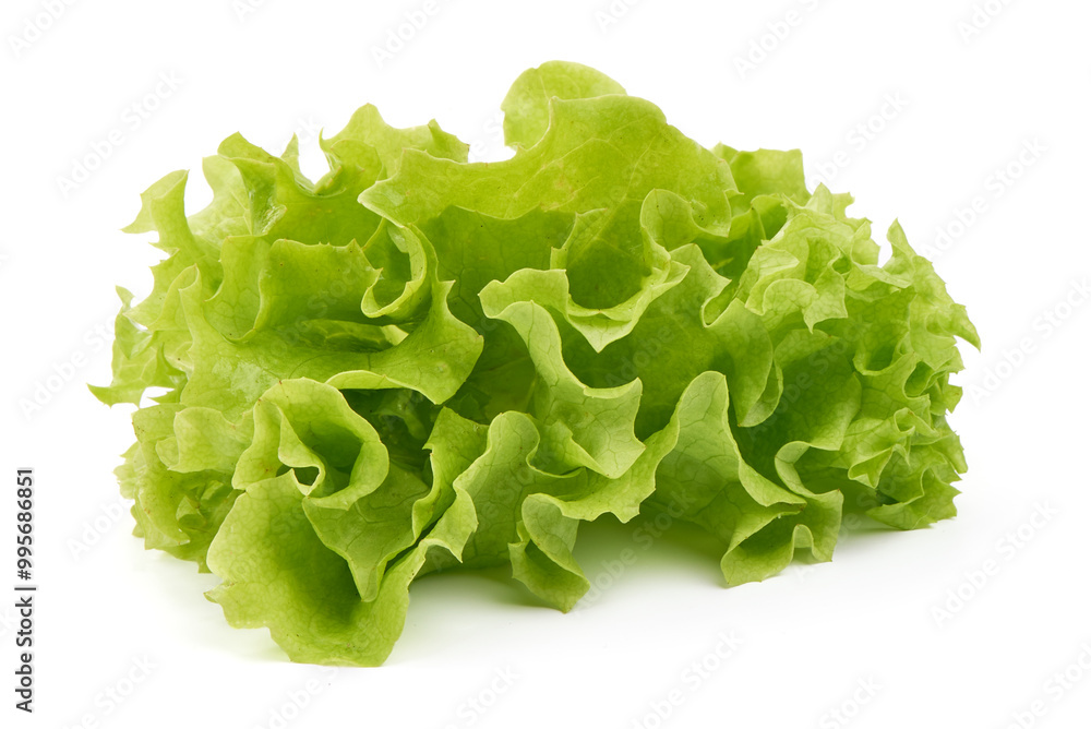 Lettuce Salad leaves, isolated on white background. Lettuce Salad leaves, isolated on white background.