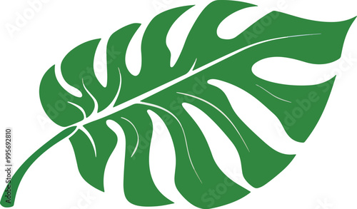 vector