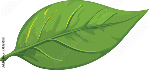 leaf with drops