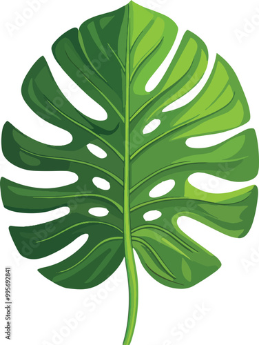 green leaf vector