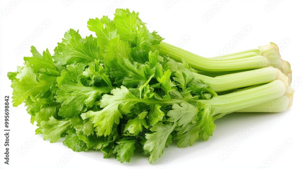 Fresh Green Celery Stalks With Crisp Leaves Displayed on a Bright White Background Fresh Green Celery Stalks With Crisp Leaves Displayed on a Bright White Background