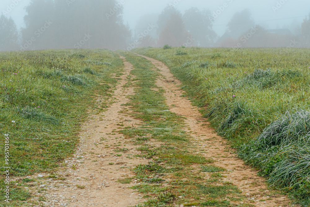 A narrow, fog-shrouded dirt road winds through a grassy field into the distance. The surrounding greenery is wet with dew and the soft mist creates a calm, atmospheric mood.