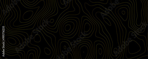 Abstract Vector Topographic Terrain Design with Black Contour Lines and Grid Patterns for a Hiking and Travel Exploration Banner
