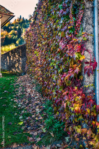 Autumn in Val Degano. Ovaro and its characteristic villages. The house with a hundred windows photo