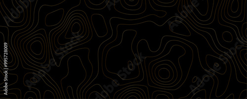 Black and White Topographic Map Illustration with Geometric Contours and Seamless Grid Patterns for a Hiking and Adventure Design
