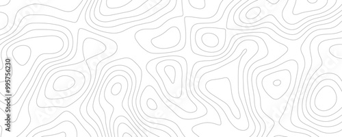 Geometric Topography Map Design Featuring Curved Contour Lines and Textured Relief Patterns for a Modern Art Illustration 