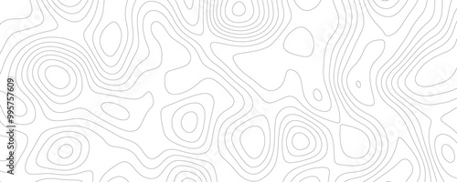 Elegant Topographic Map Art Featuring Curved Geometric Lines and Organic Contour Patterns for a Premium Landscape Design 