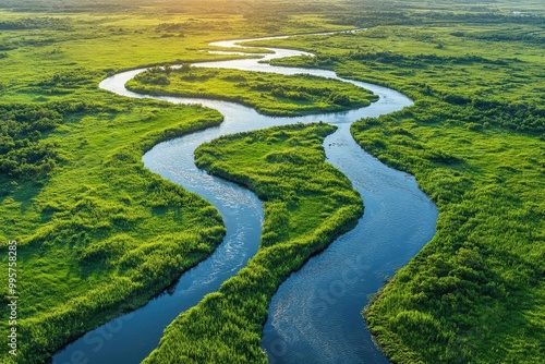 aerial view showcasing a lush river delta with winding waterways and rich green vegetation illustrating the beauty of natures intricate patterns